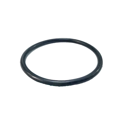 Lip gasket